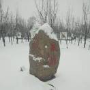 下迪中心校王天峰