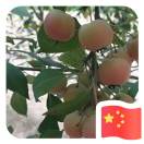 下迪中心校薛斌