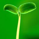 城区中心校西街小学穆丽婷