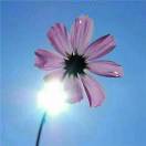 大河路铁小闫田田