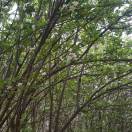 惠济区弓寨小学轩伟刚