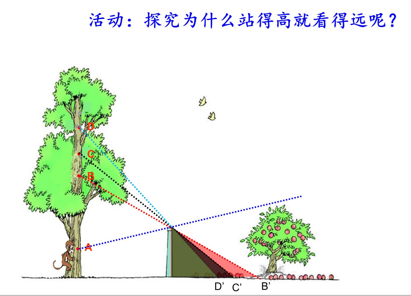 第二稿新课.jpg