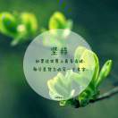 管村中心校杜新红