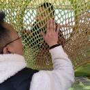 管村中心校陈引红