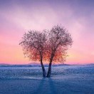 翟店中心校李巧风